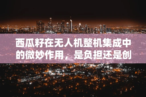 西瓜籽在无人机整机集成中的微妙作用，是负担还是创新火花？