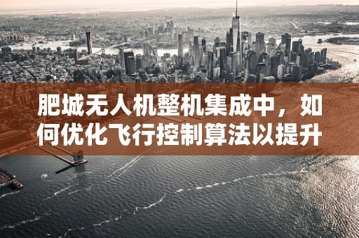 肥城无人机整机集成中，如何优化飞行控制算法以提升复杂地形适应性？