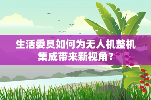 生活委员如何为无人机整机集成带来新视角？