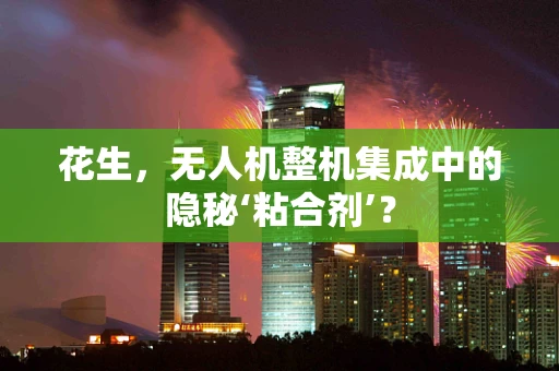 花生，无人机整机集成中的隐秘‘粘合剂’？