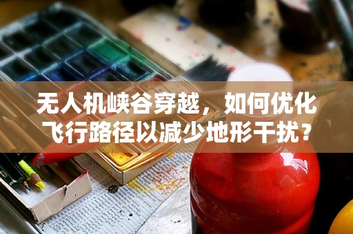 无人机峡谷穿越，如何优化飞行路径以减少地形干扰？