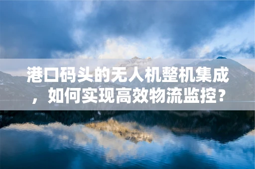 港口码头的无人机整机集成，如何实现高效物流监控？