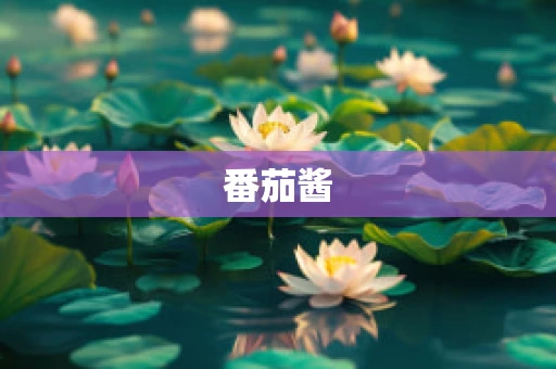 番茄酱