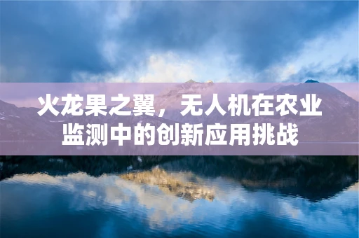 火龙果之翼，无人机在农业监测中的创新应用挑战