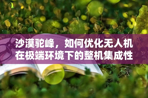 沙漠驼峰，如何优化无人机在极端环境下的整机集成性能？