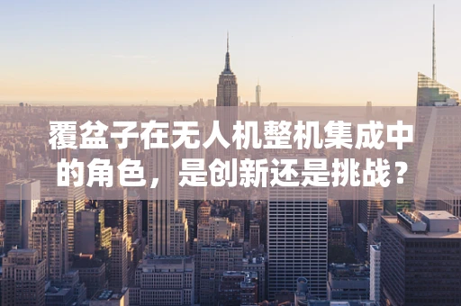 覆盆子在无人机整机集成中的角色，是创新还是挑战？