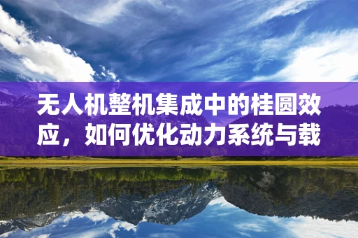 无人机整机集成中的桂圆效应，如何优化动力系统与载荷的平衡？