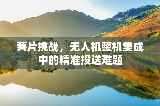 薯片挑战，无人机整机集成中的精准投送难题
