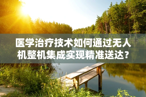 医学治疗技术如何通过无人机整机集成实现精准送达？