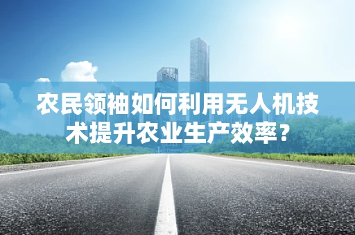 农民领袖如何利用无人机技术提升农业生产效率？