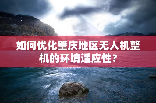 如何优化肇庆地区无人机整机的环境适应性？