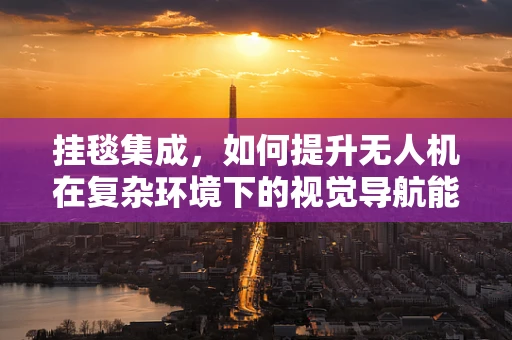 挂毯集成，如何提升无人机在复杂环境下的视觉导航能力？