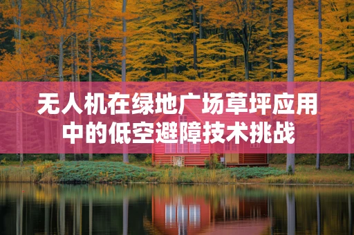无人机在绿地广场草坪应用中的低空避障技术挑战