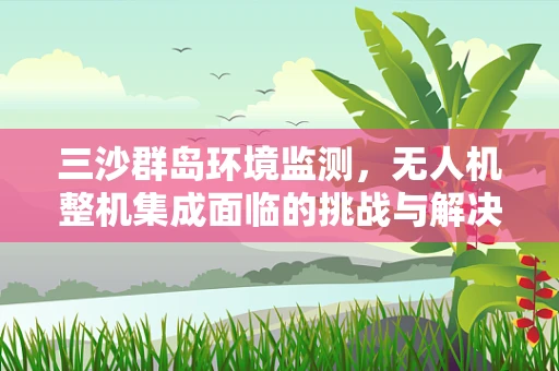 三沙群岛环境监测，无人机整机集成面临的挑战与解决方案
