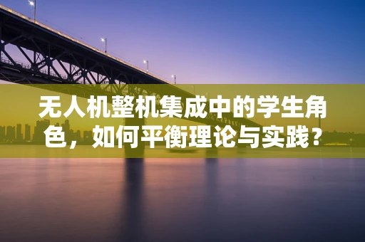 无人机整机集成中的学生角色，如何平衡理论与实践？