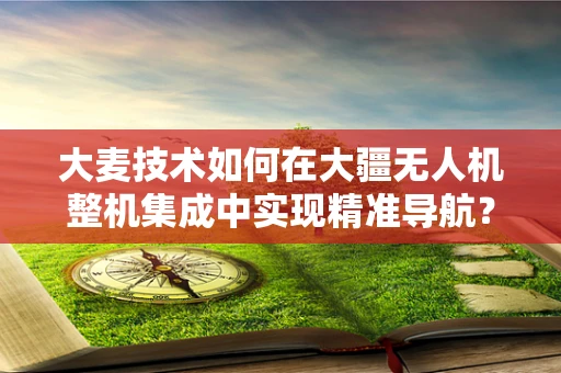大麦技术如何在大疆无人机整机集成中实现精准导航？
