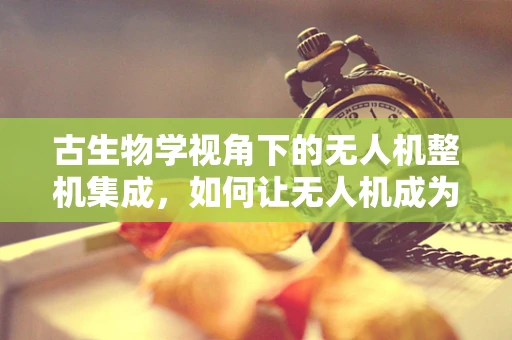 古生物学视角下的无人机整机集成，如何让无人机成为穿越时空的探索者？