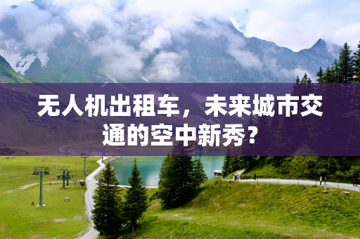 无人机出租车，未来城市交通的空中新秀？
