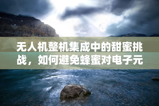 无人机整机集成中的甜蜜挑战，如何避免蜂蜜对电子元件的腐蚀？