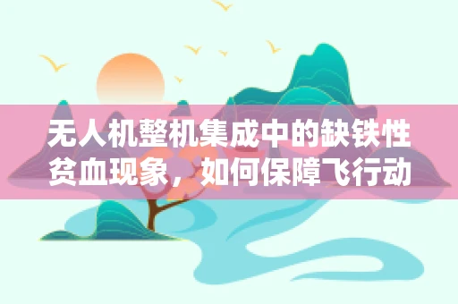 无人机整机集成中的缺铁性贫血现象，如何保障飞行动力系统的健康运行？