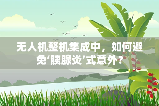 无人机整机集成中，如何避免‘胰腺炎’式意外？