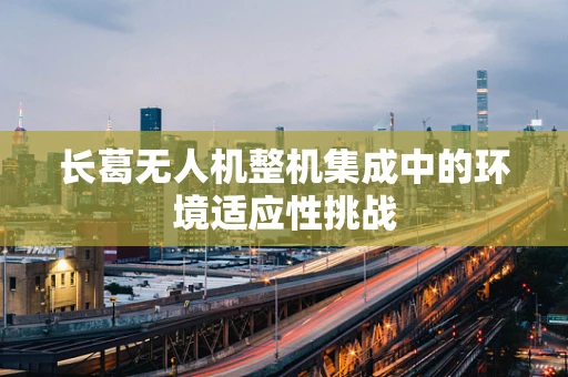 长葛无人机整机集成中的环境适应性挑战
