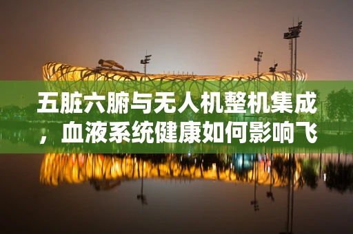 五脏六腑与无人机整机集成，血液系统健康如何影响飞行稳定性？