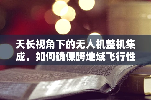 天长视角下的无人机整机集成，如何确保跨地域飞行性能的持续优化？