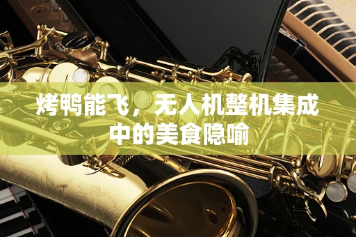 烤鸭能飞，无人机整机集成中的美食隐喻