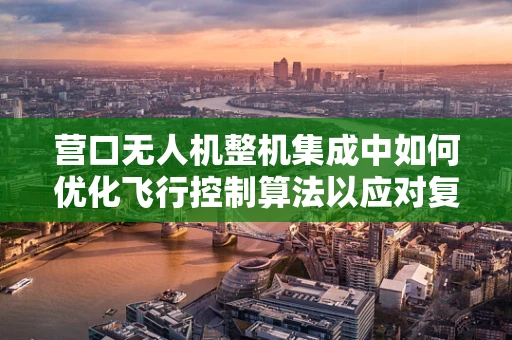 营口无人机整机集成中如何优化飞行控制算法以应对复杂地形挑战？