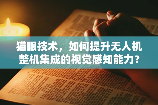 猫眼技术，如何提升无人机整机集成的视觉感知能力？