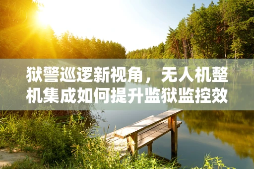狱警巡逻新视角，无人机整机集成如何提升监狱监控效率？