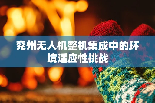 兖州无人机整机集成中的环境适应性挑战