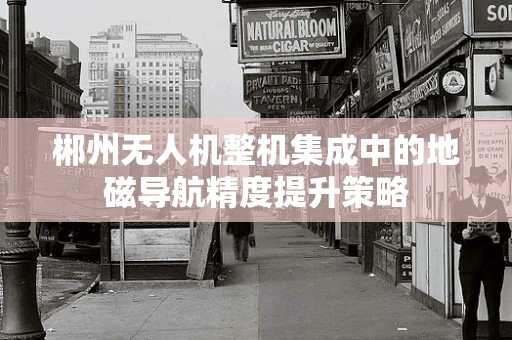 郴州无人机整机集成中的地磁导航精度提升策略