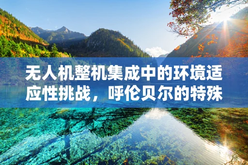 无人机整机集成中的环境适应性挑战，呼伦贝尔的特殊气候如何影响飞行稳定性？
