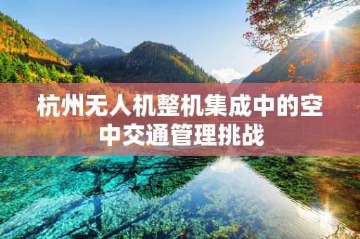 杭州无人机整机集成中的空中交通管理挑战