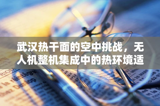 武汉热干面的空中挑战，无人机整机集成中的热环境适应性难题