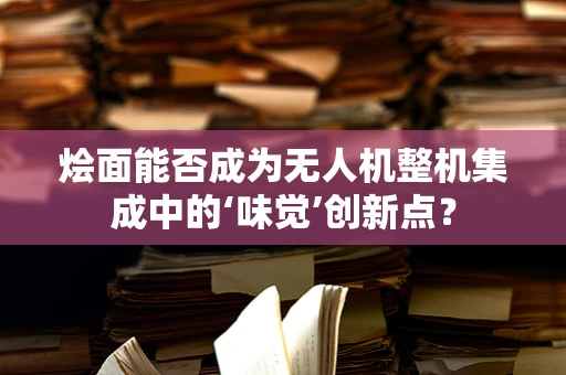 烩面能否成为无人机整机集成中的‘味觉’创新点？