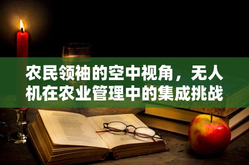 农民领袖的空中视角，无人机在农业管理中的集成挑战与机遇