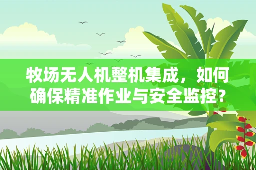 牧场无人机整机集成，如何确保精准作业与安全监控？