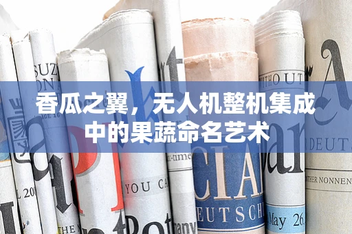 香瓜之翼，无人机整机集成中的果蔬命名艺术