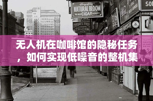 无人机在咖啡馆的隐秘任务，如何实现低噪音的整机集成？
