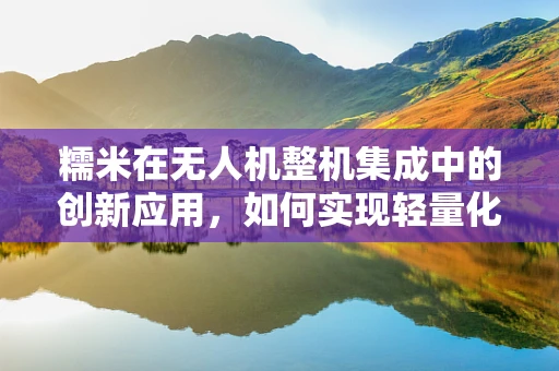 糯米在无人机整机集成中的创新应用，如何实现轻量化与强度的完美平衡？