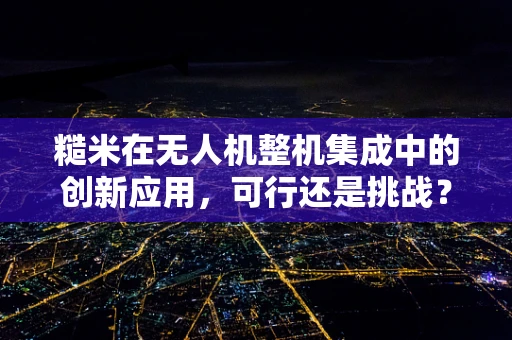 糙米在无人机整机集成中的创新应用，可行还是挑战？