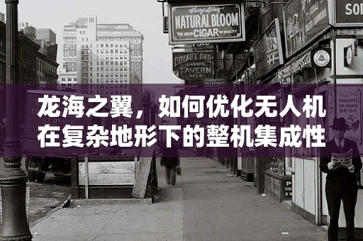 龙海之翼，如何优化无人机在复杂地形下的整机集成性能？