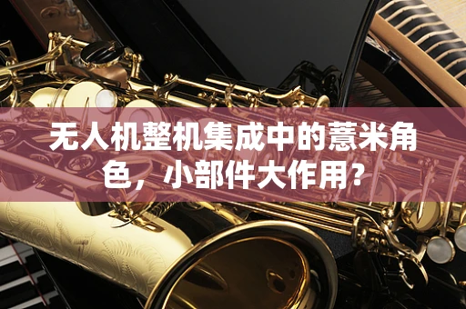 无人机整机集成中的薏米角色，小部件大作用？