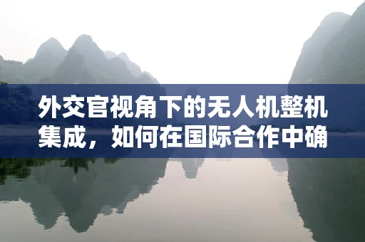 外交官视角下的无人机整机集成，如何在国际合作中确保技术安全与合规？