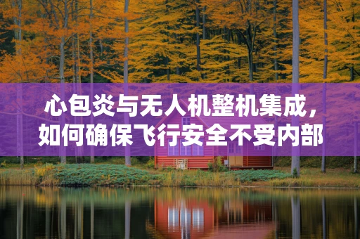 心包炎与无人机整机集成，如何确保飞行安全不受内部‘炎症’影响？