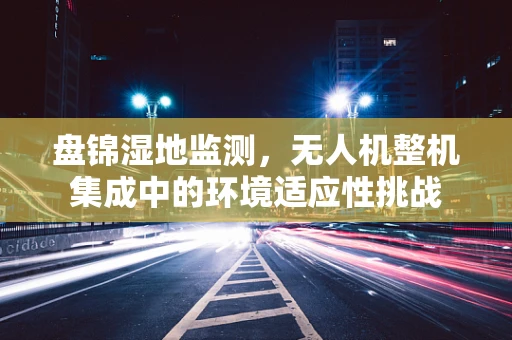 盘锦湿地监测，无人机整机集成中的环境适应性挑战