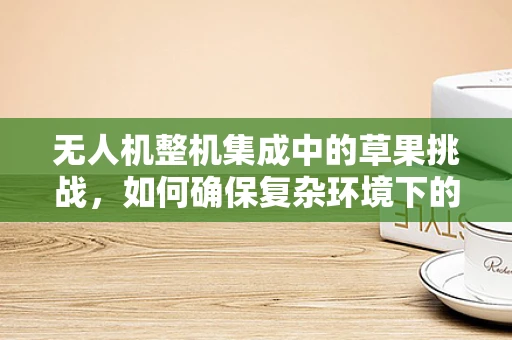 无人机整机集成中的草果挑战，如何确保复杂环境下的稳定飞行？
